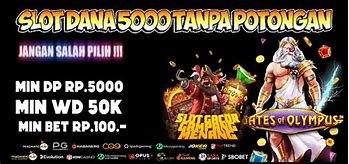 Orang Dalam Slot Online Deposit Dana Terbesar Di Dunia